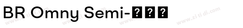 BR Omny Semi字体转换